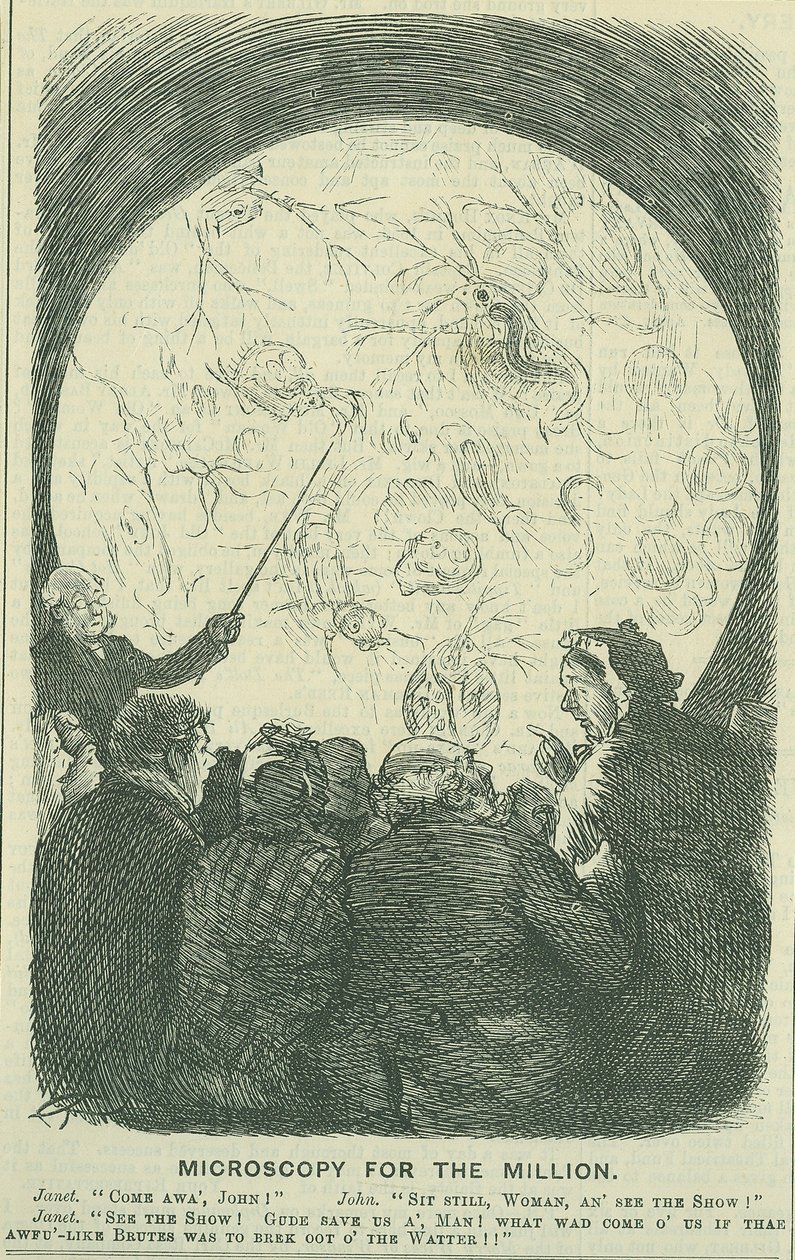 Microscopía para las masas: 1878 (grabado) de Charles Keene