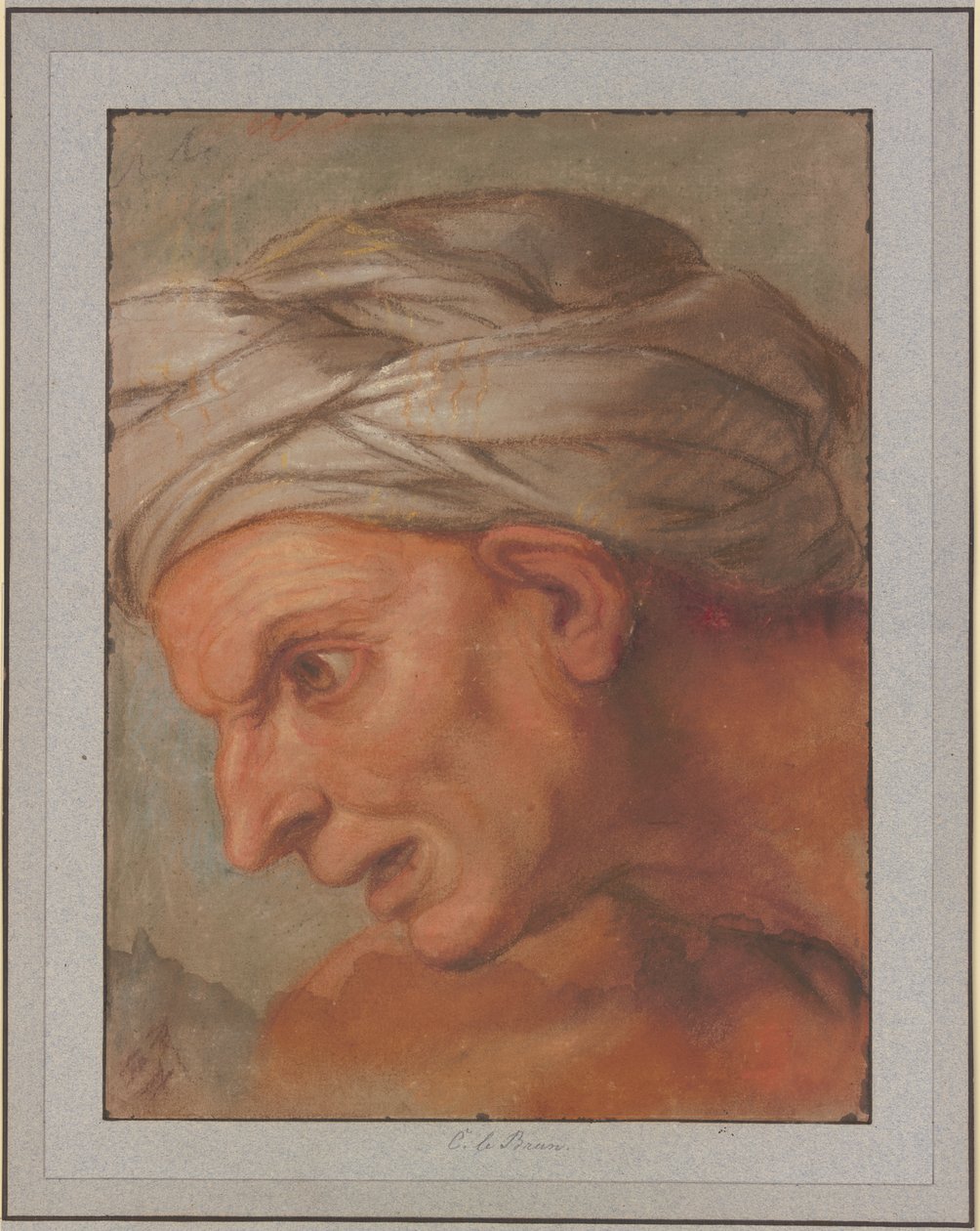 Cabeza de perfil hacia la izquierda, de la obra «Las reinas a los pies de Alejandro Magno» de Charles Le Brun