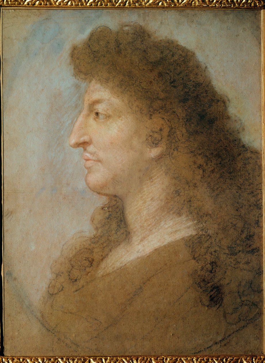 Retrato de Luis XIV ... de Charles Le Brun