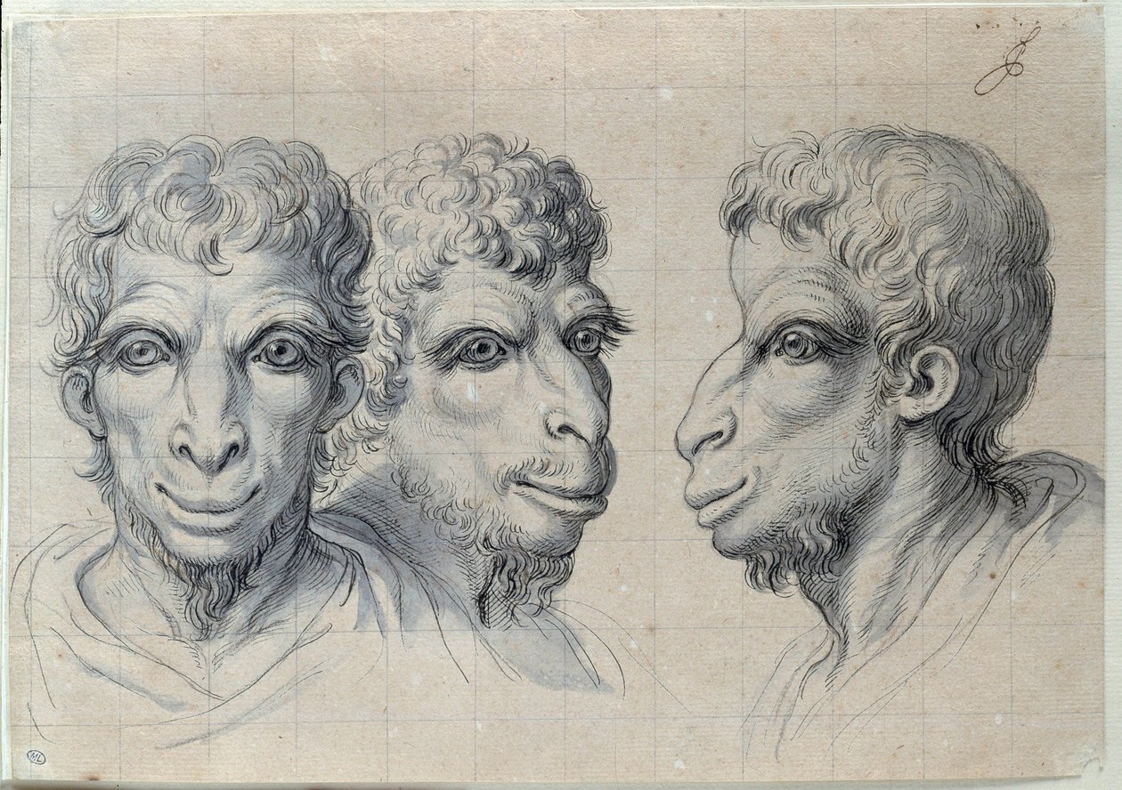 Estudios de tres cabezas de hombres recordando la fisonomía del camello. Dibujo de Charles Lebrun (1619-1690). Siglo XVII. París, Museo del Louvre de Charles Le Brun