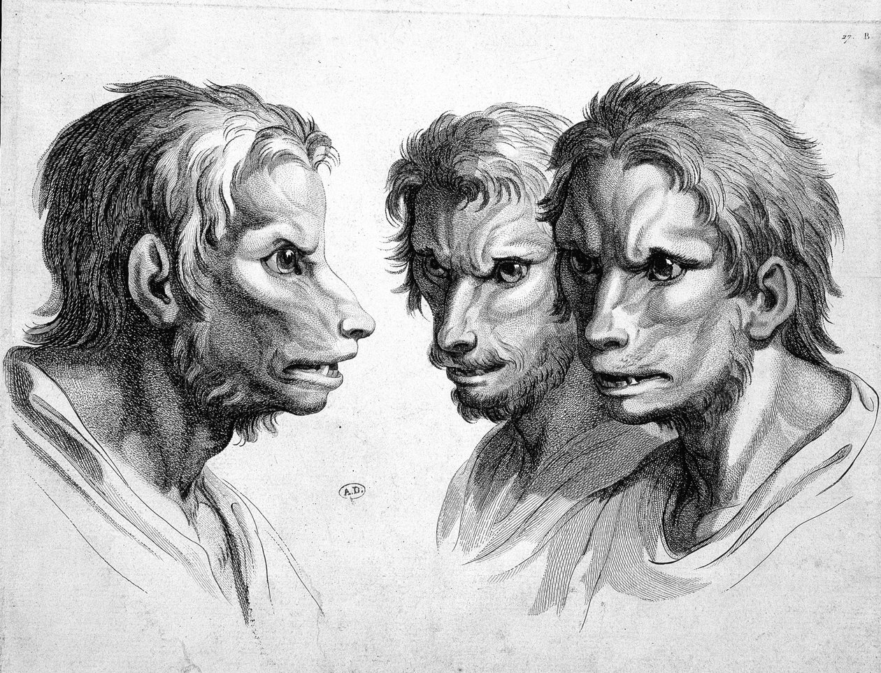 Tres caras de hombre lobo - por Le Brun de Charles Le Brun