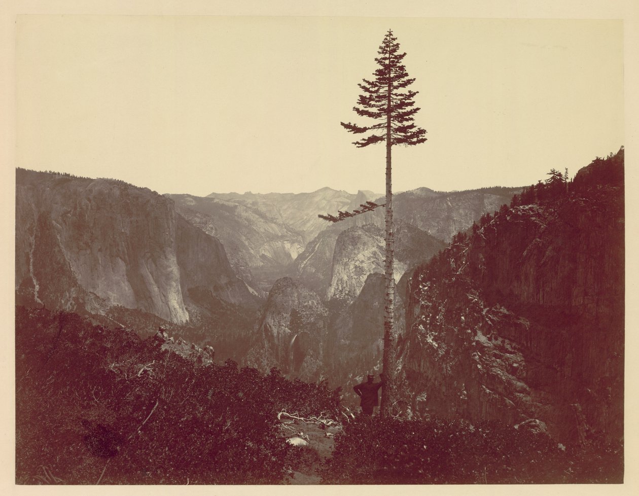 Valle de Yosemite desde el Sendero Mariposa de Charles Leander Weed
