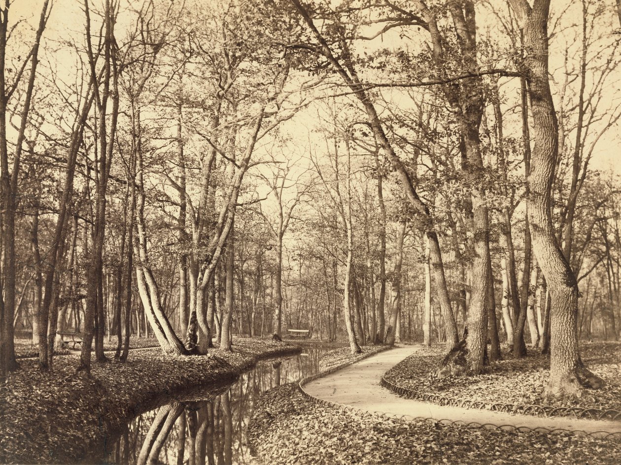 Bosque de Boulogne, París de Charles Marville
