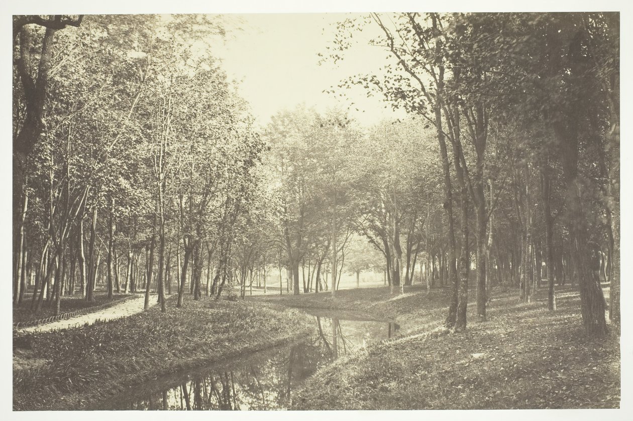 Sin título, c. 1850. [Árboles cerca del agua en el Bois de Boulogne, un parque en París] de Charles Marville