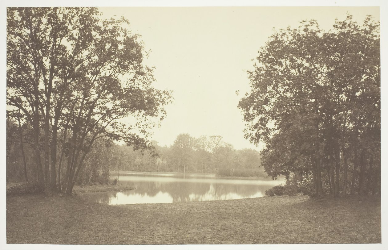 Sin título, c. 1850. [Árboles cerca del agua en el Bois de Boulogne, un parque en París] de Charles Marville