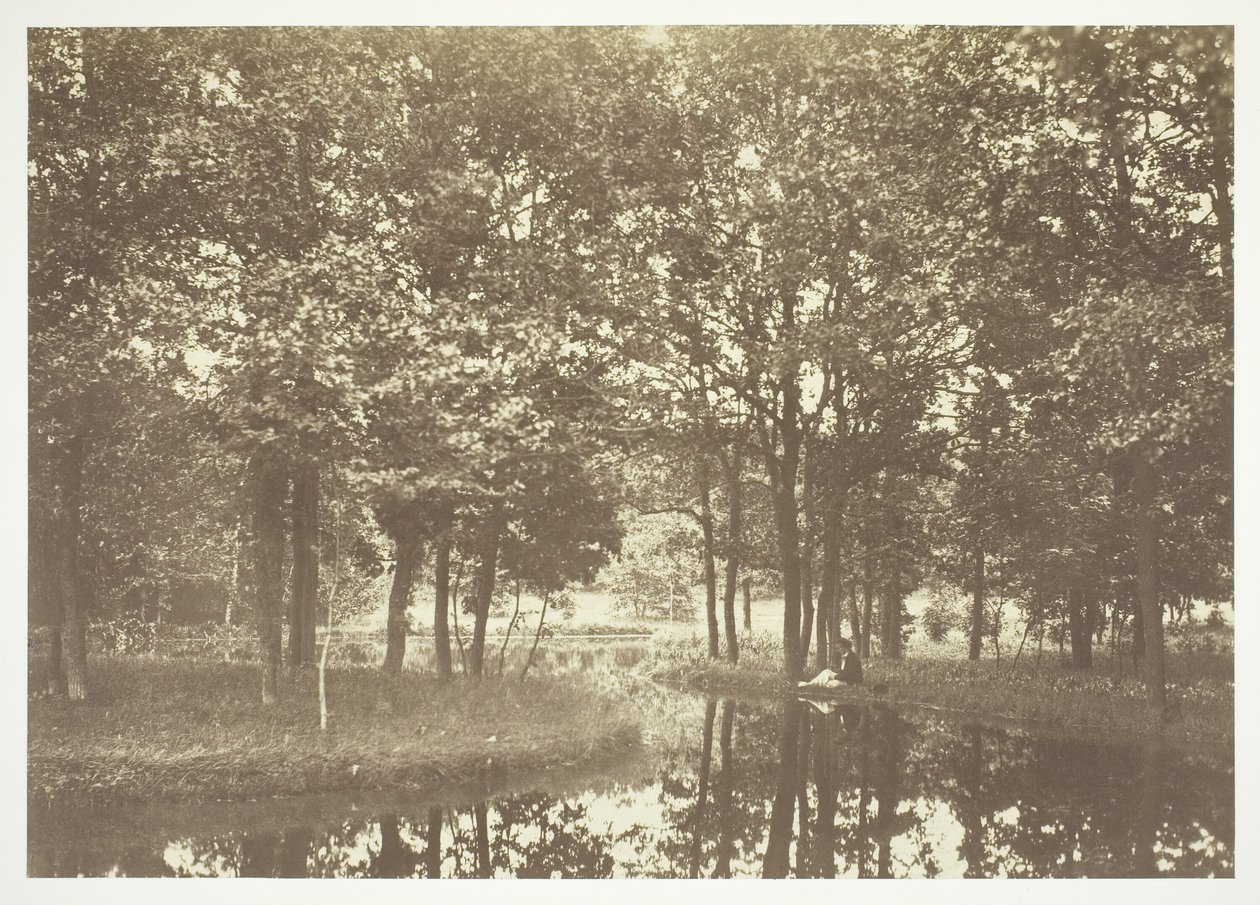 Sin título, c. 1850. [Árboles cerca del agua en el Bois de Boulogne, un parque en París] de Charles Marville