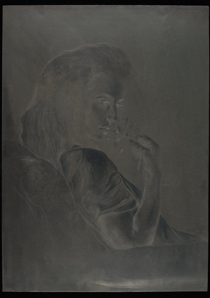Plancha para "La rosa del té", c.1900 (plancha de acero) de Charles Maurin