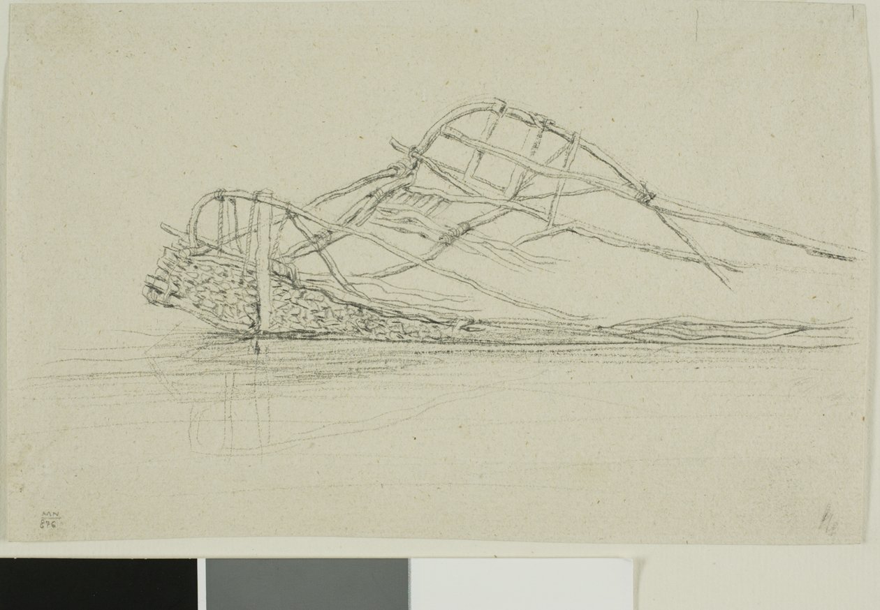 Una carroza neozelandesa de Charles Meryon