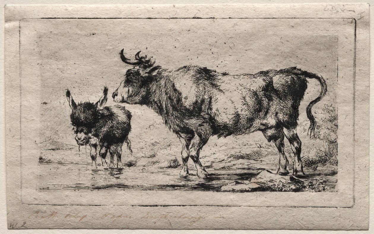 Vaca y Asno de Charles Meryon