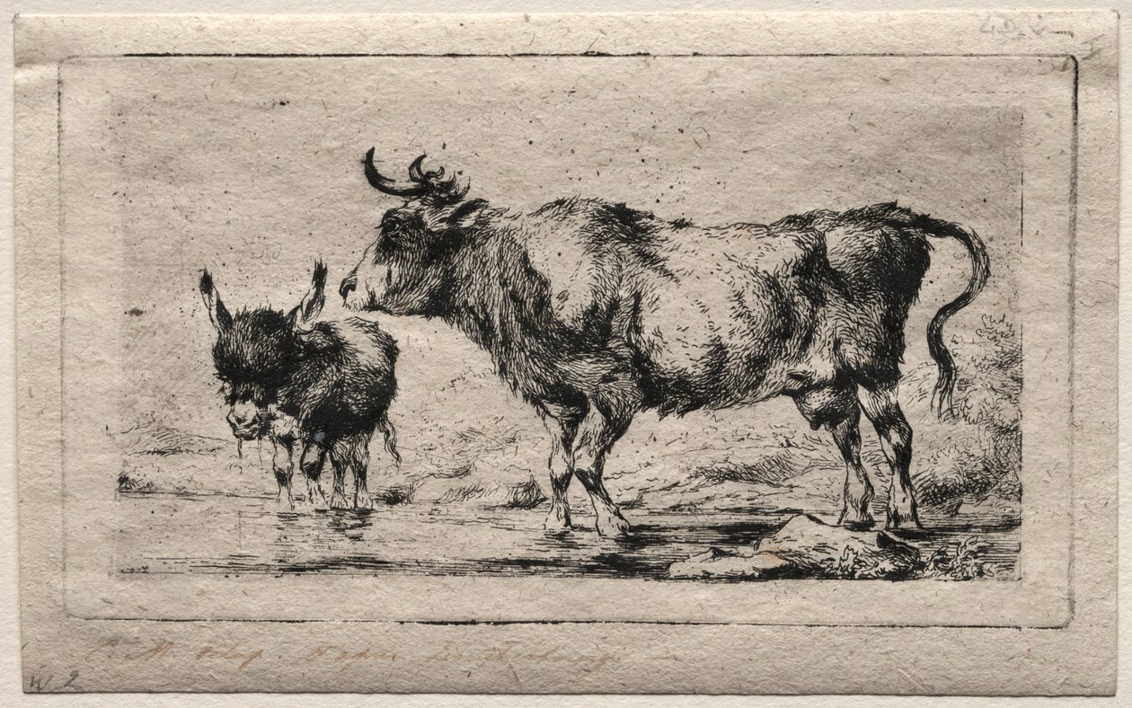 Vaca y asno, 1849 de Charles Meryon