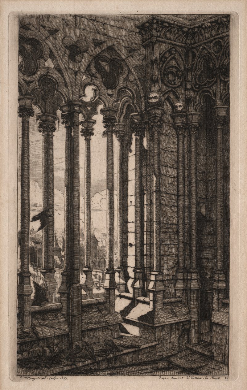 Grabados de París: La Galería de Notre Dame, 1853 de Charles Meryon
