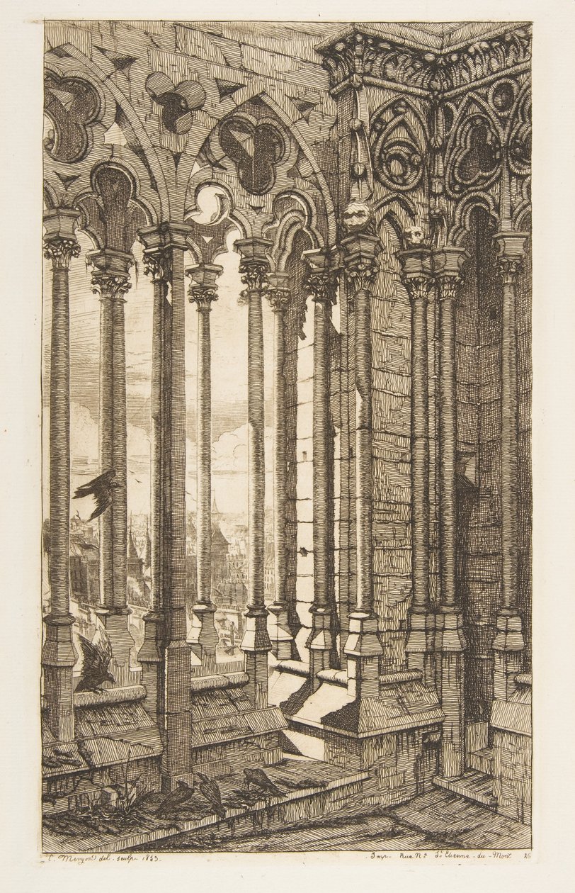Galería, Catedral de Notre-Dame, París de Charles Meryon
