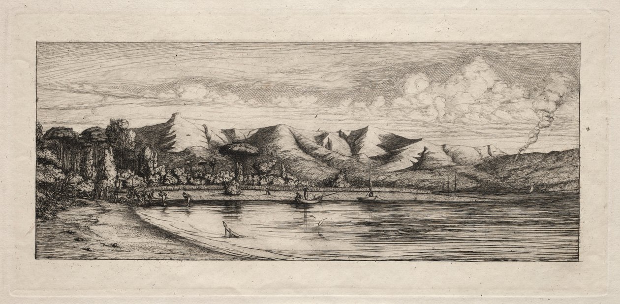 Pesca con red en Charcoal Burners Point, Akaroa, 1865 de Charles Meryon