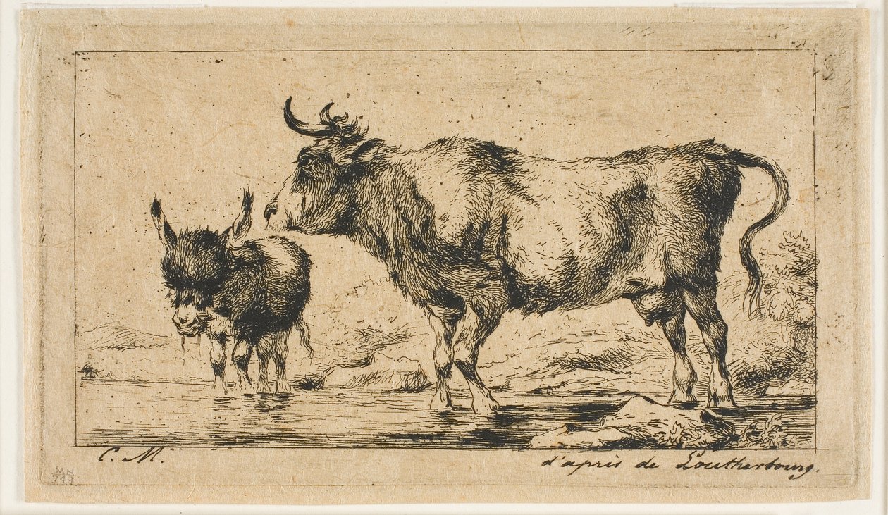 La vaca y el asno de Charles Meryon