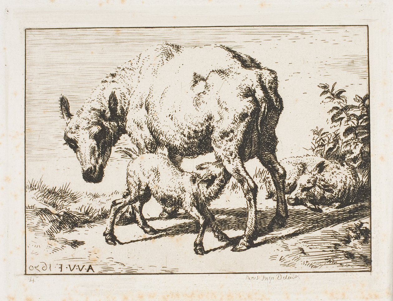 La Oveja con Dos Corderos de Charles Meryon