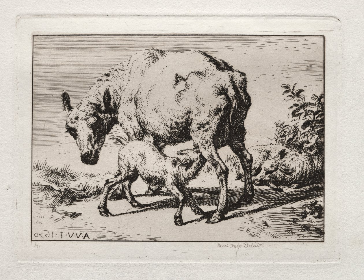 La Oveja con Dos Corderos de Charles Meryon
