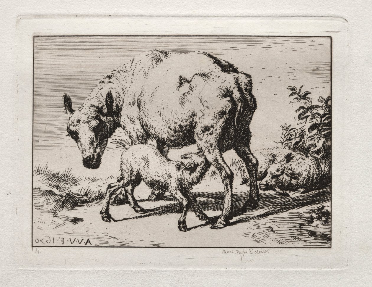 La oveja con dos corderos, 1850 de Charles Meryon