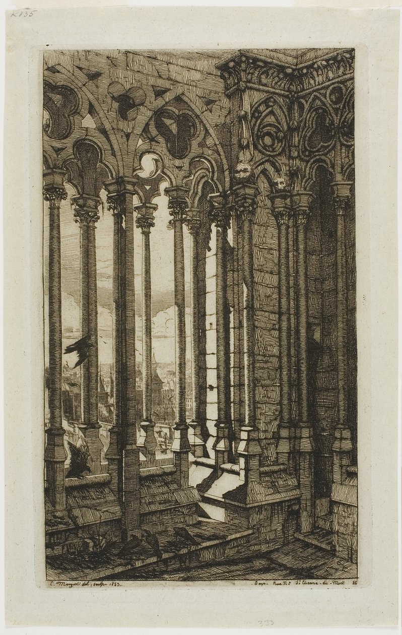 La galería de Notre-Dame, París de Charles Meryon