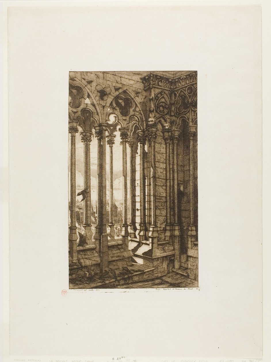 La galería de Notre-Dame, París de Charles Meryon