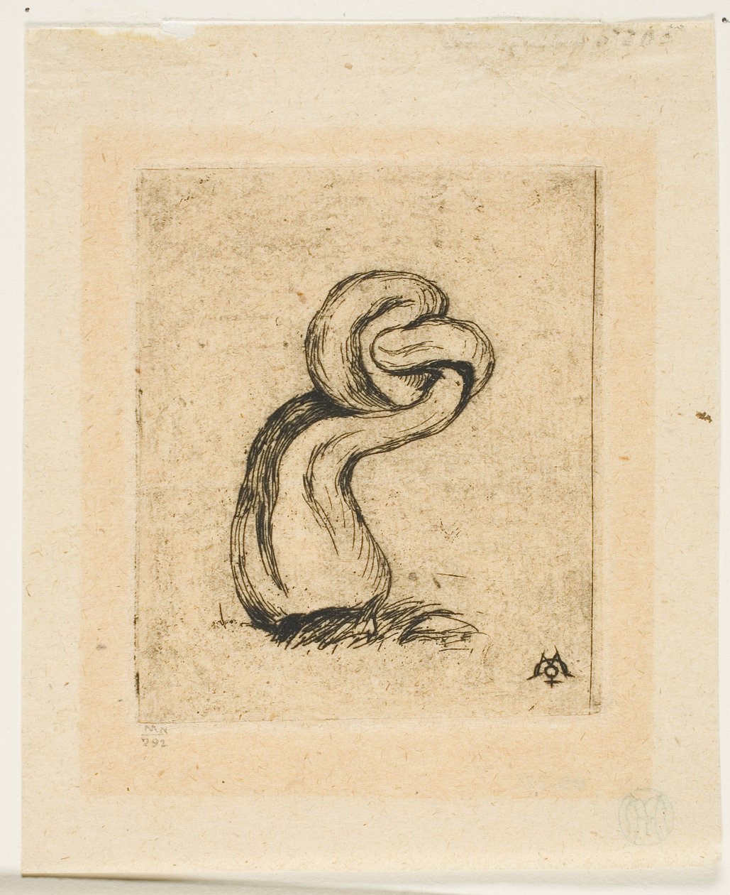 El criptógamo enfermizo de Charles Meryon