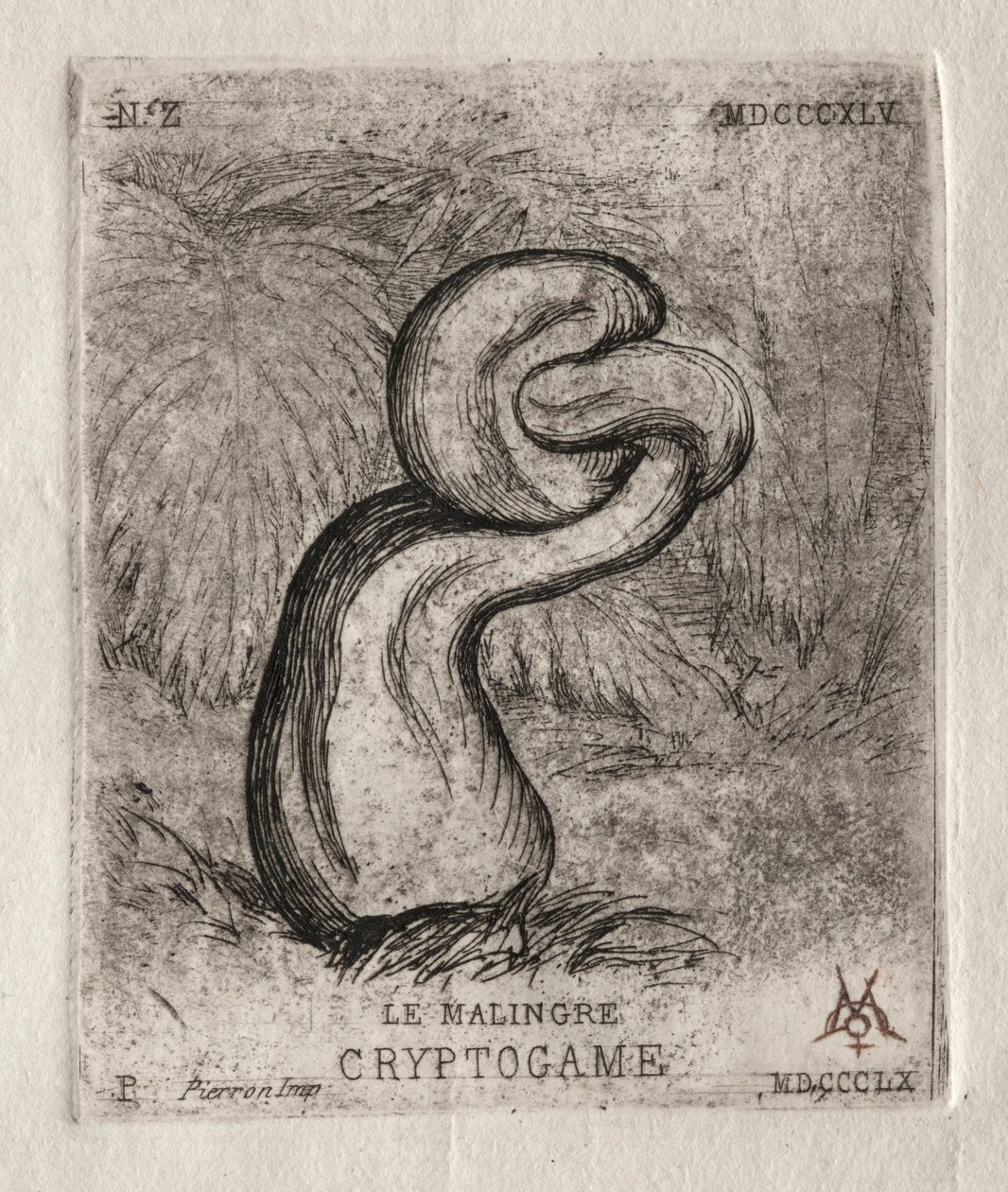 El criptógamo enfermizo, 1860 de Charles Meryon