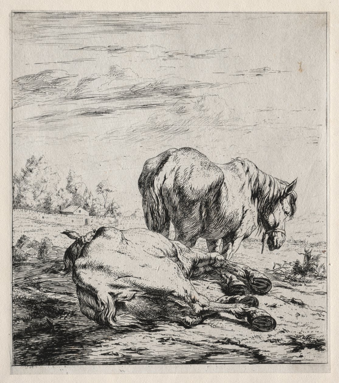 Los Dos Caballos de Charles Meryon