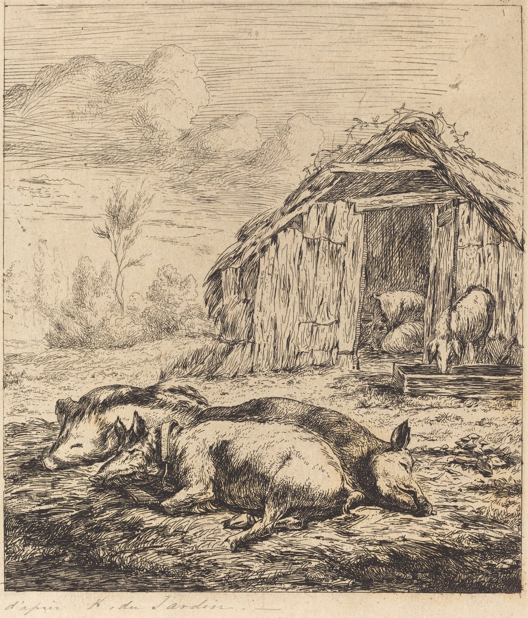 Los tres cerdos acostados frente a un establo de Charles Meryon after Karel Dujardin