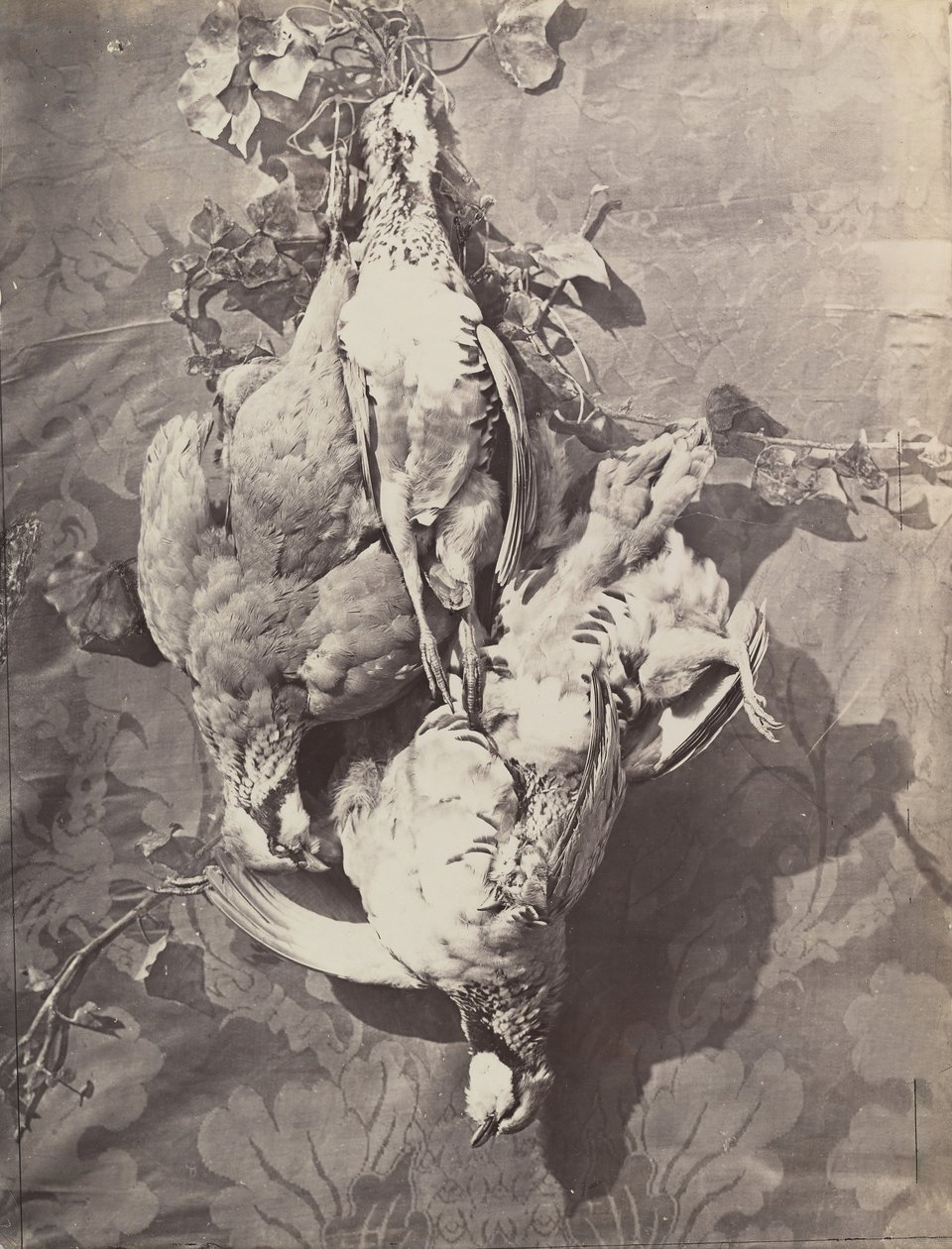 [Naturaleza Muerta con Aves de Caza] de Charles Nègre