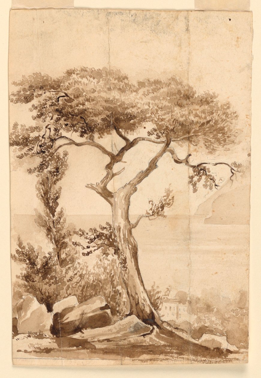 En la costa del mar Mediterráneo de Charles Nicolas Ransonnette