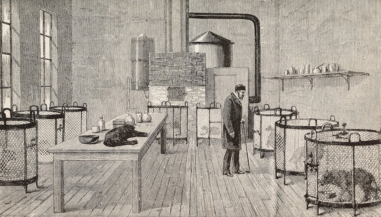 Perros en jaulas dentro del laboratorio de Louis Pasteur (1822-1895), químico y biólogo francés, París, Francia, grabado de L