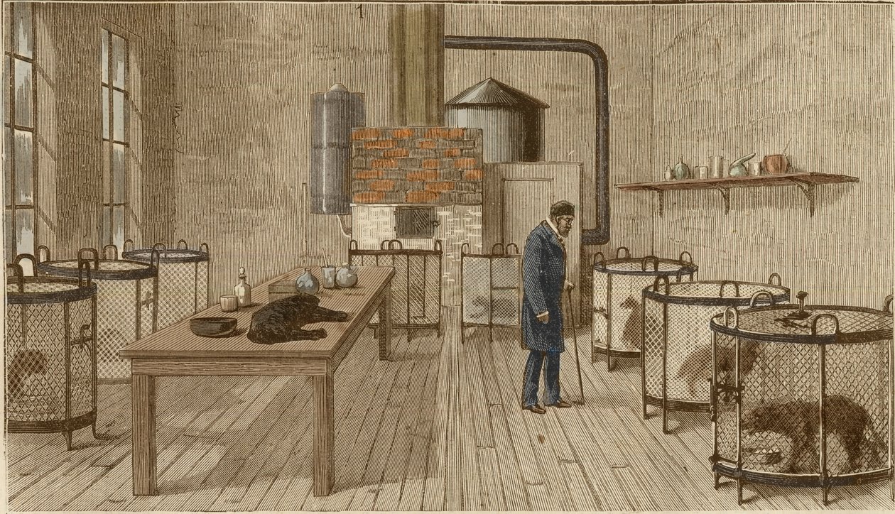 Perros en jaulas dentro del laboratorio de Louis Pasteur de Charles Paul Renouard