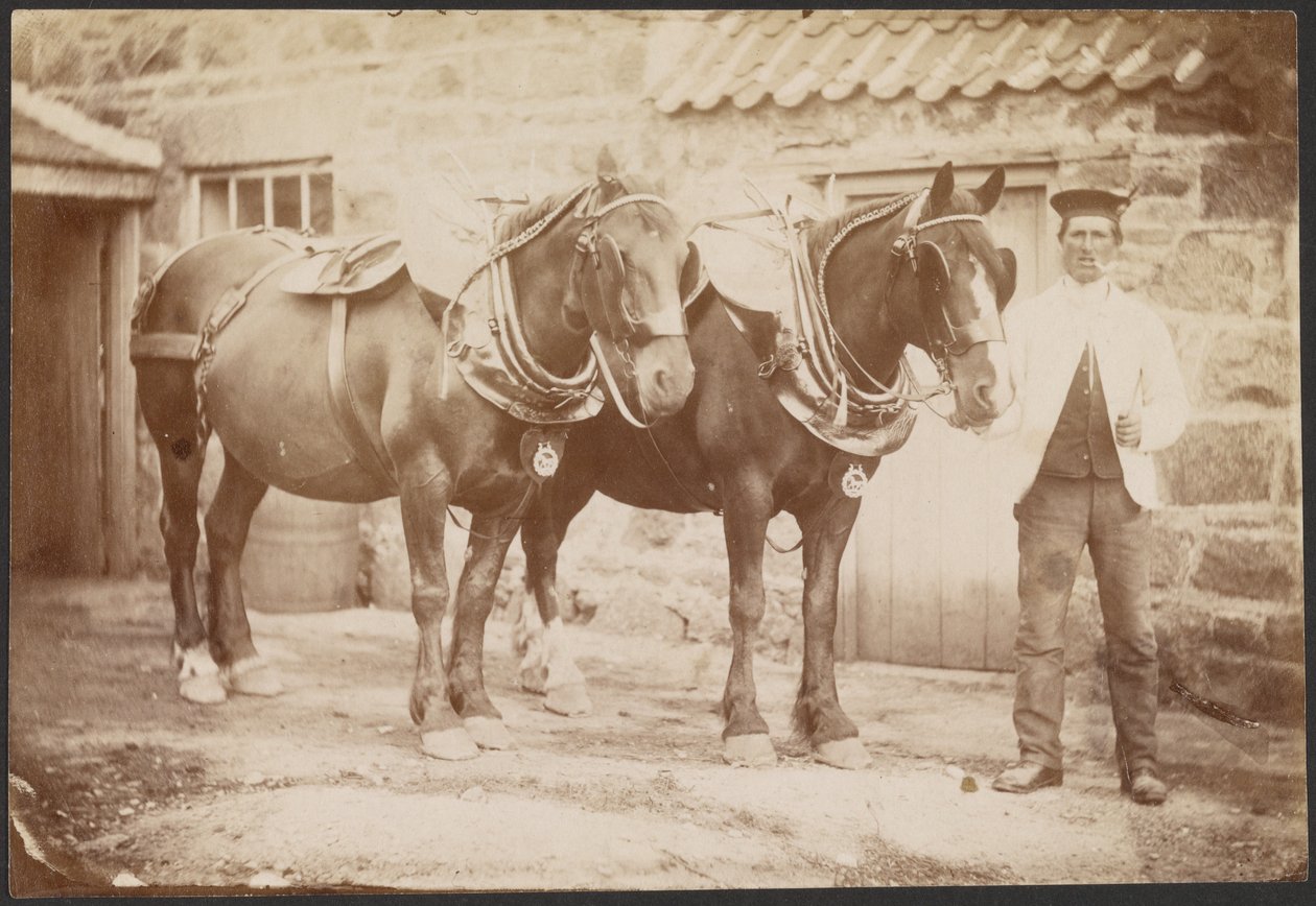 [Hombre con dos caballos] de Charles Reid