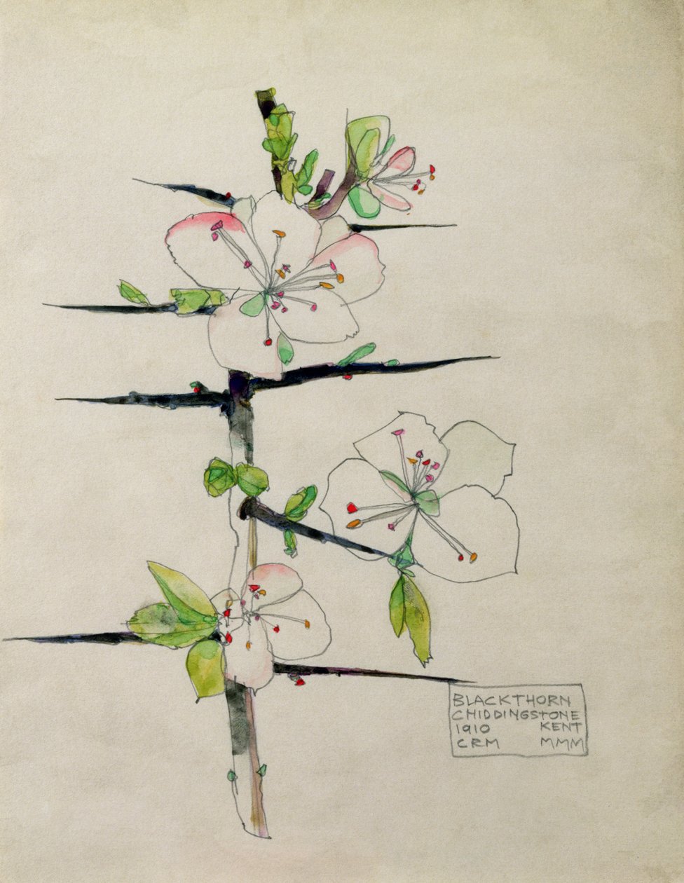 Endrino, Chiddingstone, Kent de Charles Rennie Mackintosh