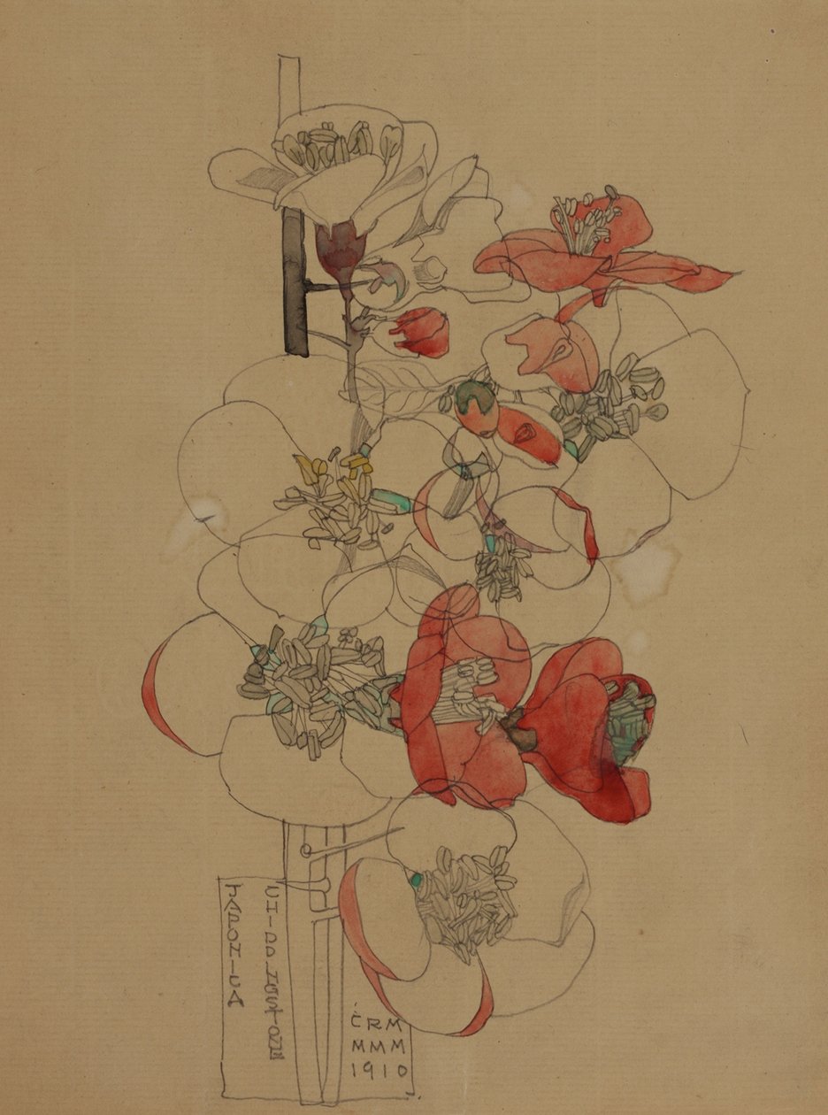 Japonica de Charles Rennie Mackintosh