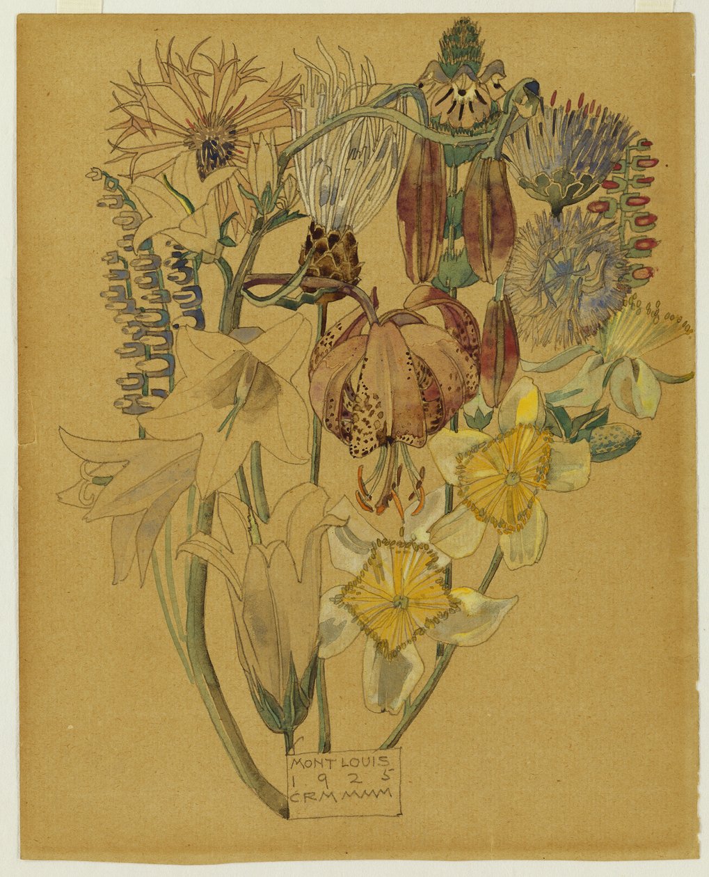 Mont Louis - Estudio de flores, 1925 de Charles Rennie Mackintosh