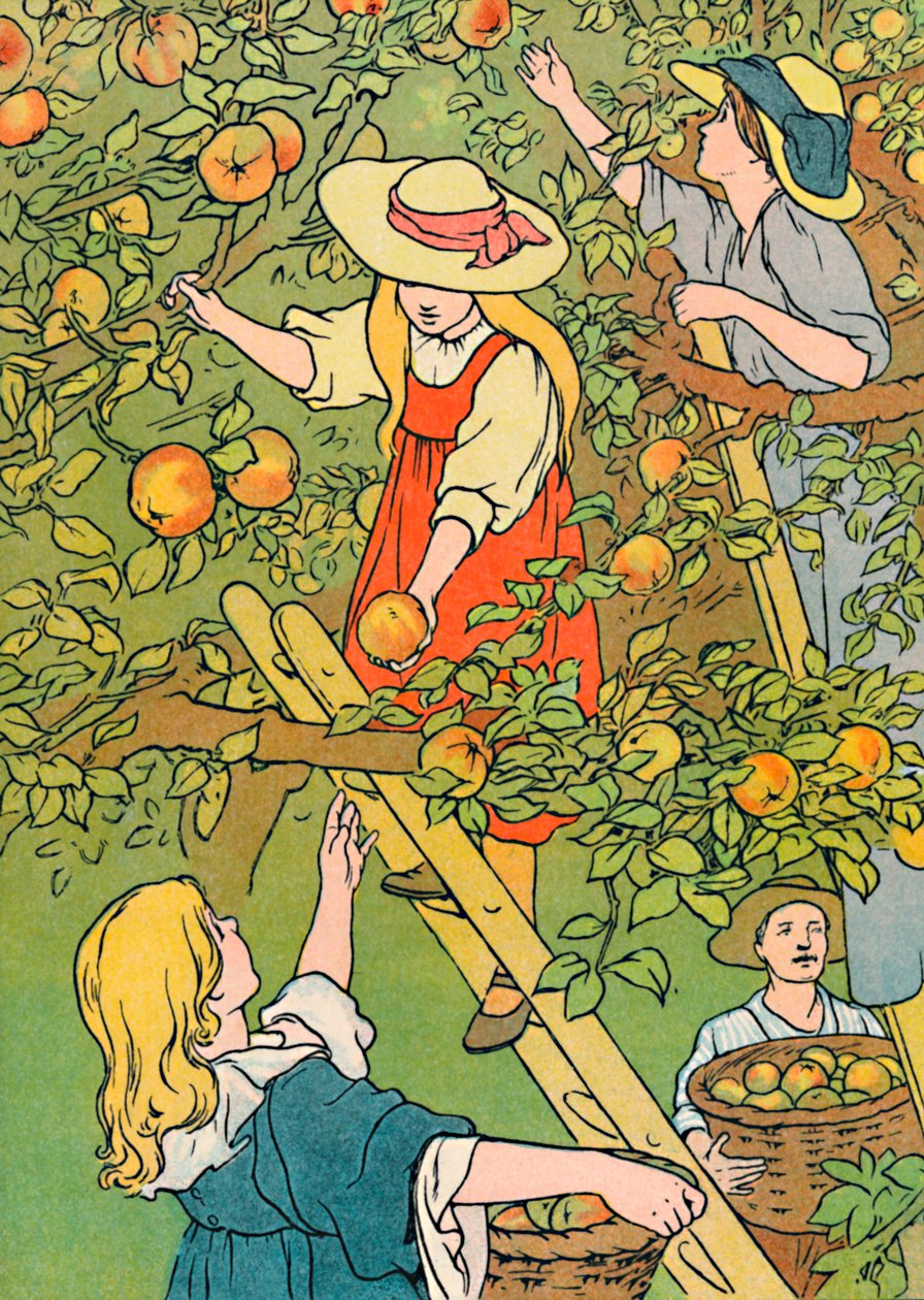 Recogiendo la fruta, 1912 de Charles Robinson