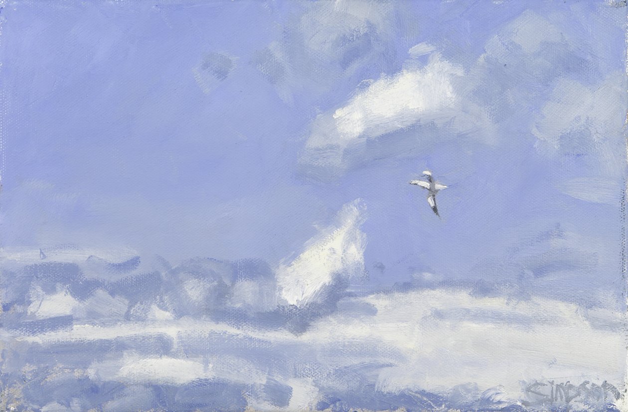 Alcatraz y nubes, 2016 (óleo sobre lienzo) de Charles Simpson