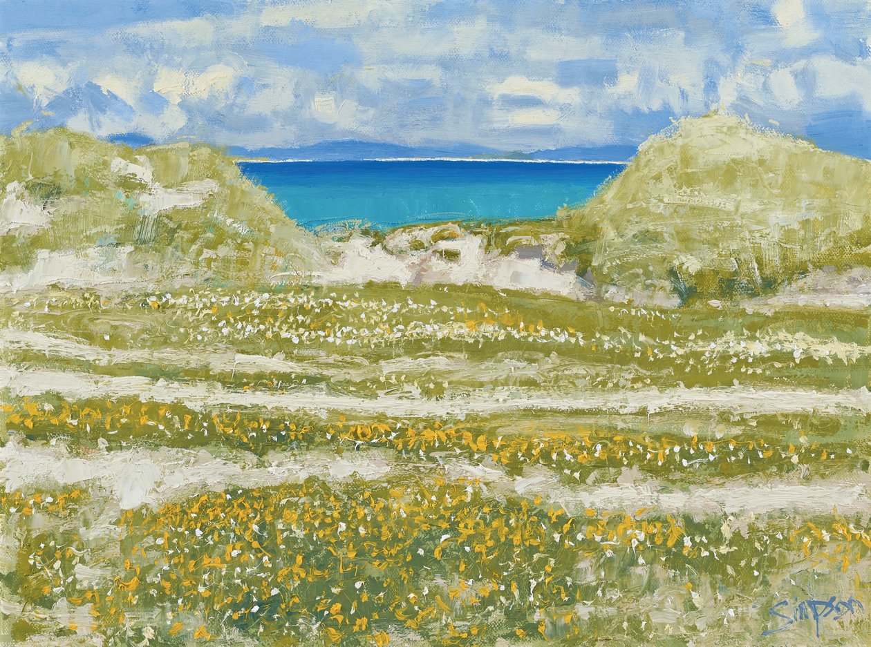 Glimpse of Harris, 2014 (óleo sobre lienzo) de Charles Simpson