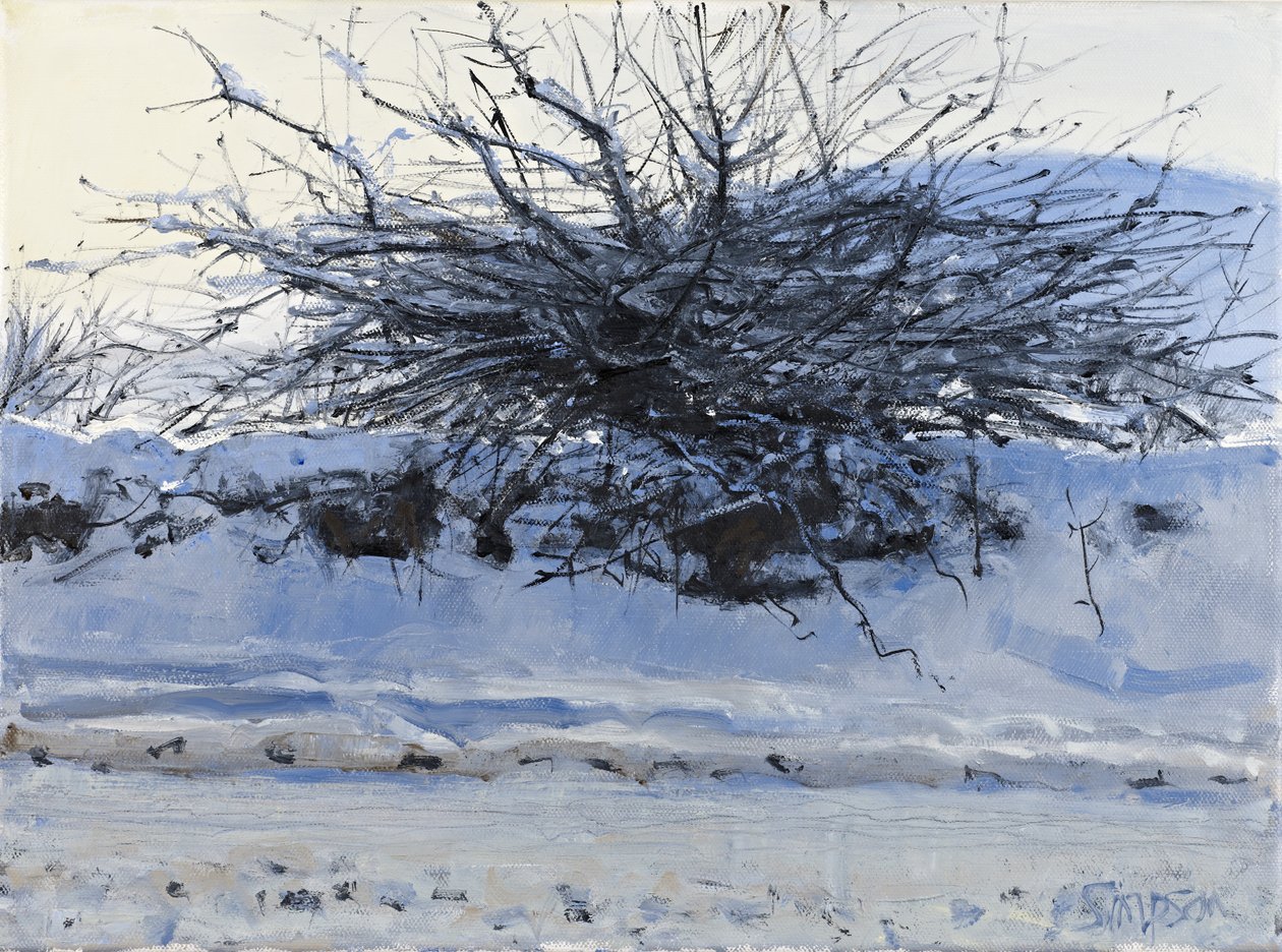 Espino blanco, 2011 (óleo sobre lienzo) de Charles Simpson