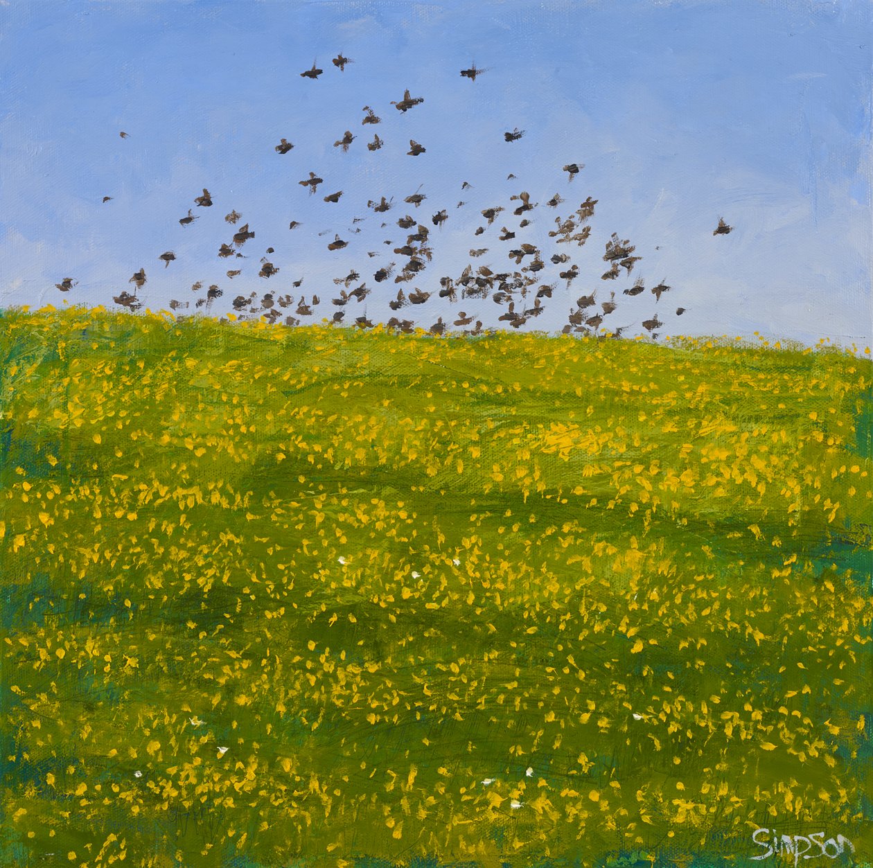Estorninos y ranúnculos, Iona, 2015 (óleo sobre lienzo) de Charles Simpson