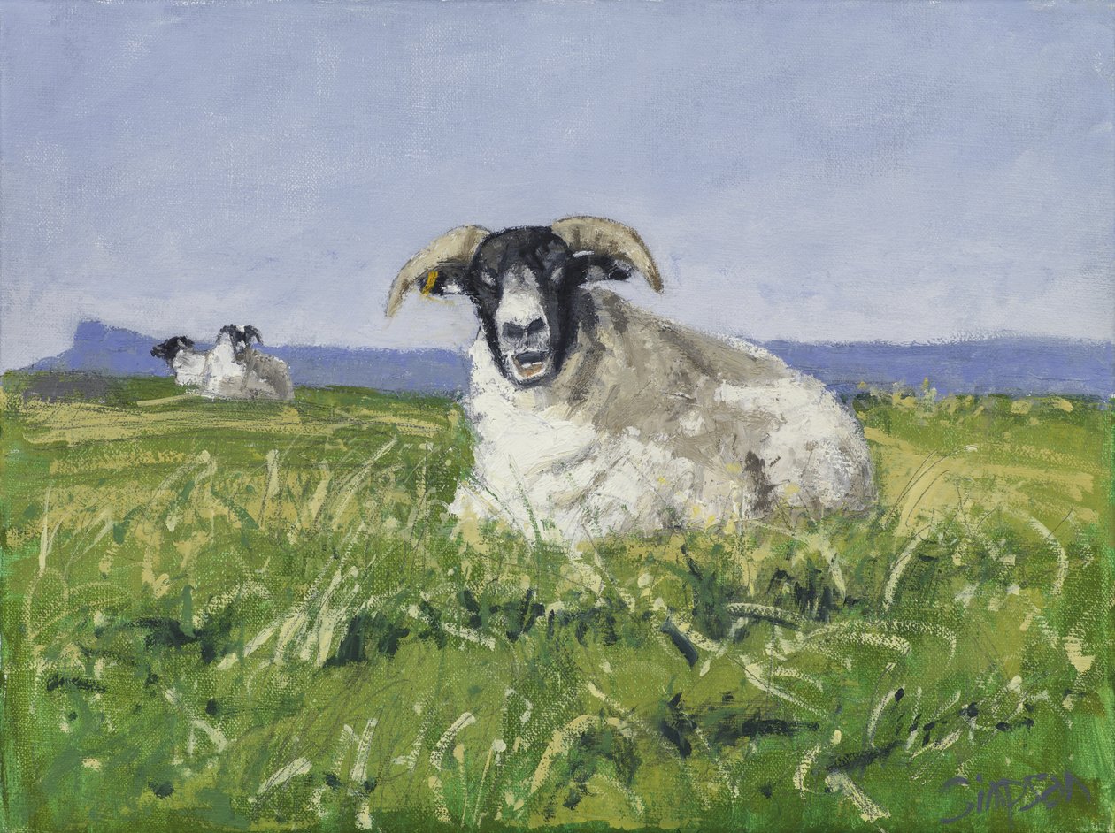 West Coast Sheep, 2017 (óleo sobre lienzo) de Charles Simpson