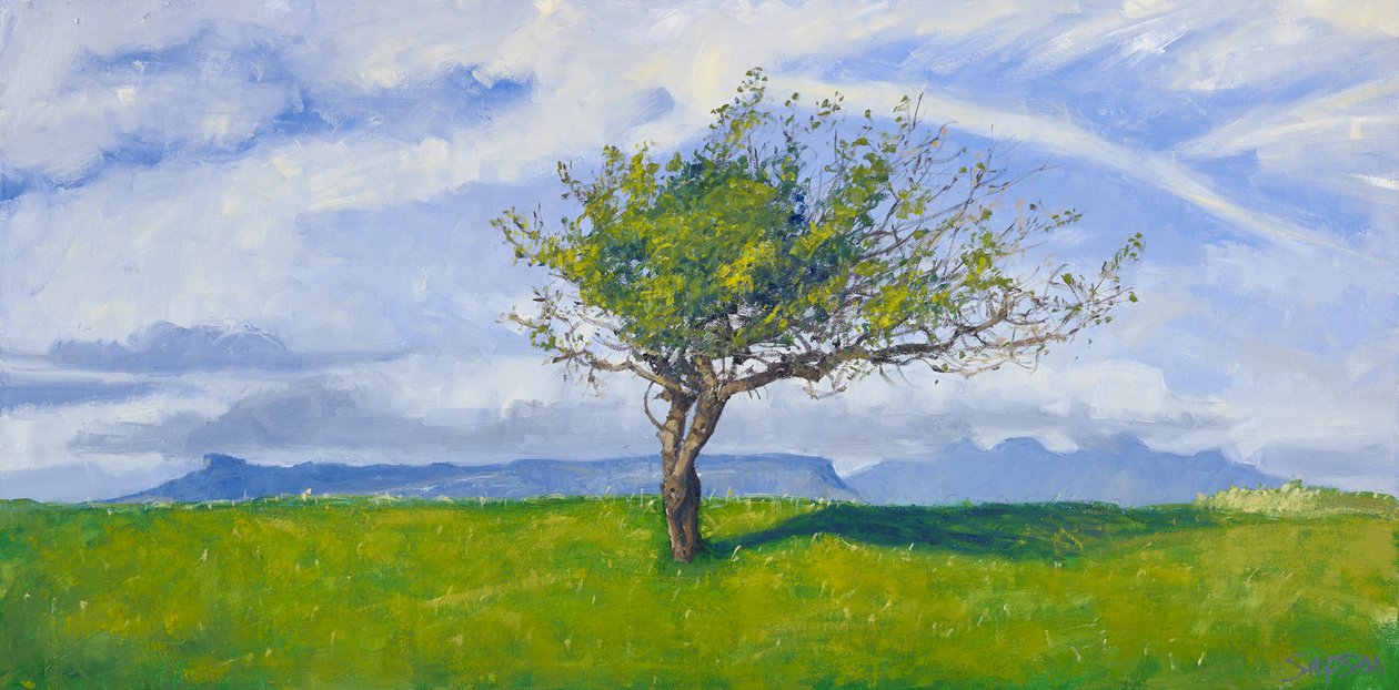 Árbol de la costa oeste, 2015 (óleo sobre lienzo) de Charles Simpson