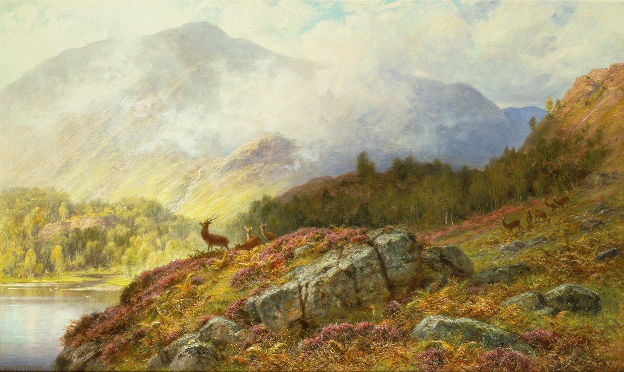 Ciervo en un paisaje de las tierras altas (óleo sobre lienzo) de Charles Stuart