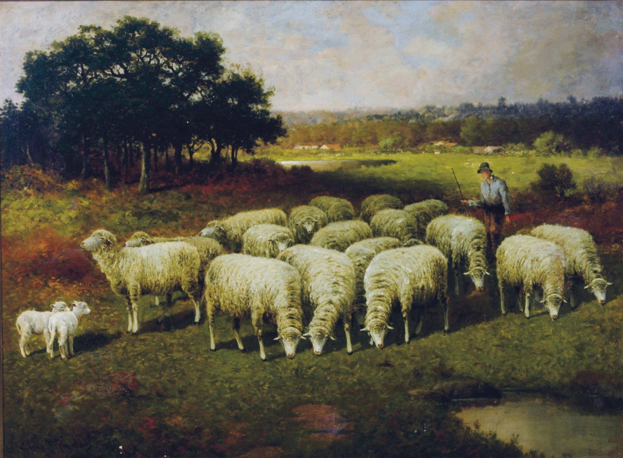 Un pastor con sus ovejas en el campo, 1898 de Charles T. Phelan