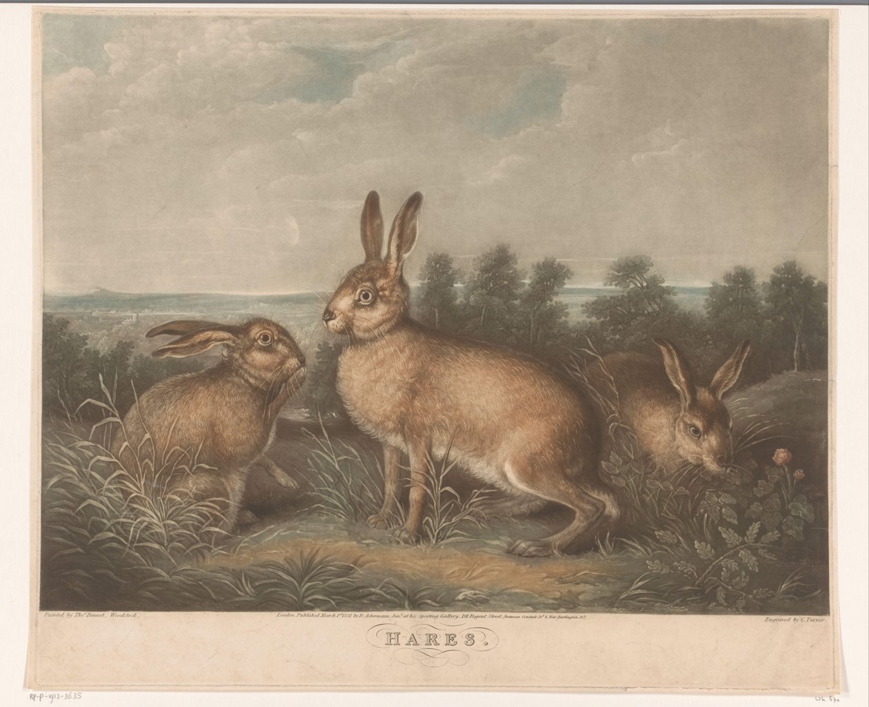 seca hazen Liebres (título sobre objeto) de Charles Turner