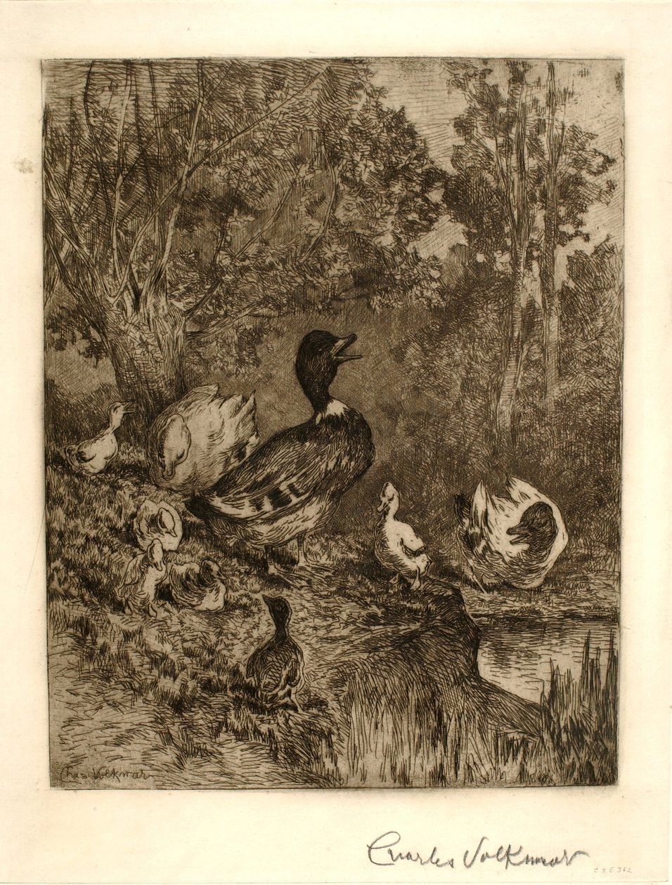 Cabeza de familia de Charles Volkmar