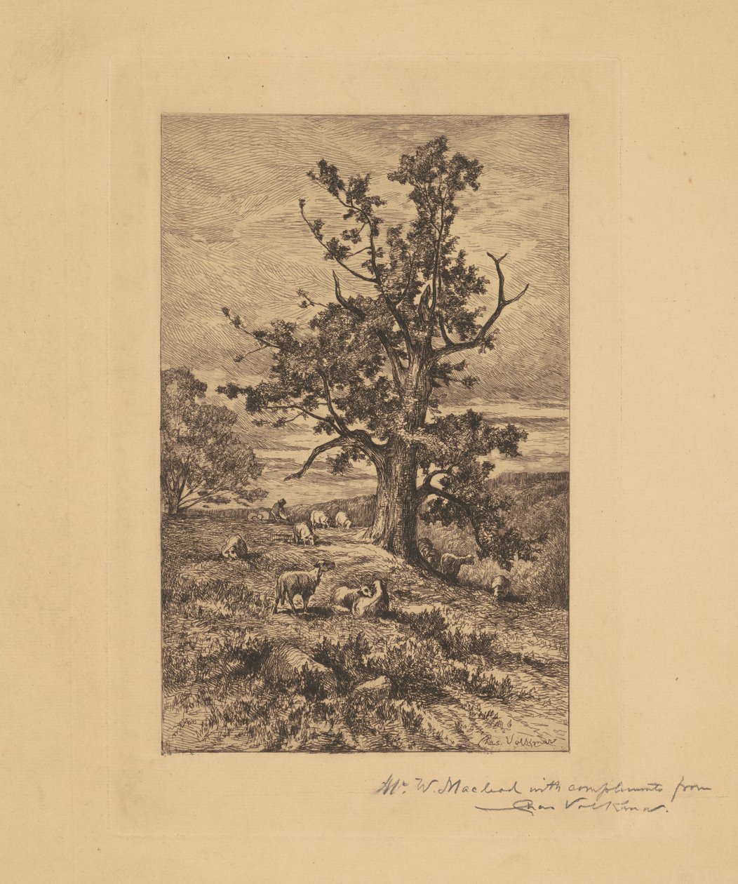 Paisaje con ovejas de Charles Volkmar