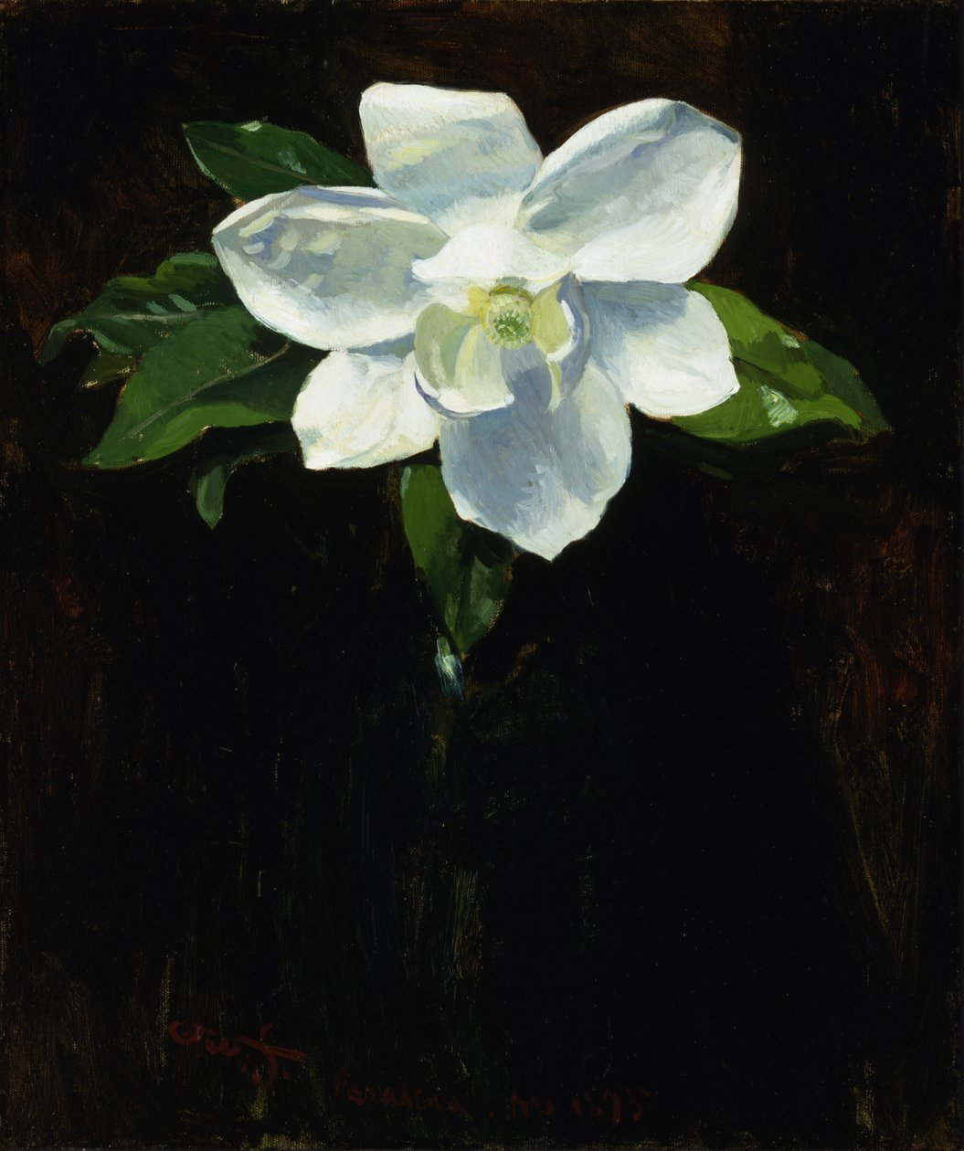 Magnolia, 1895 de Charles Walter Stetson