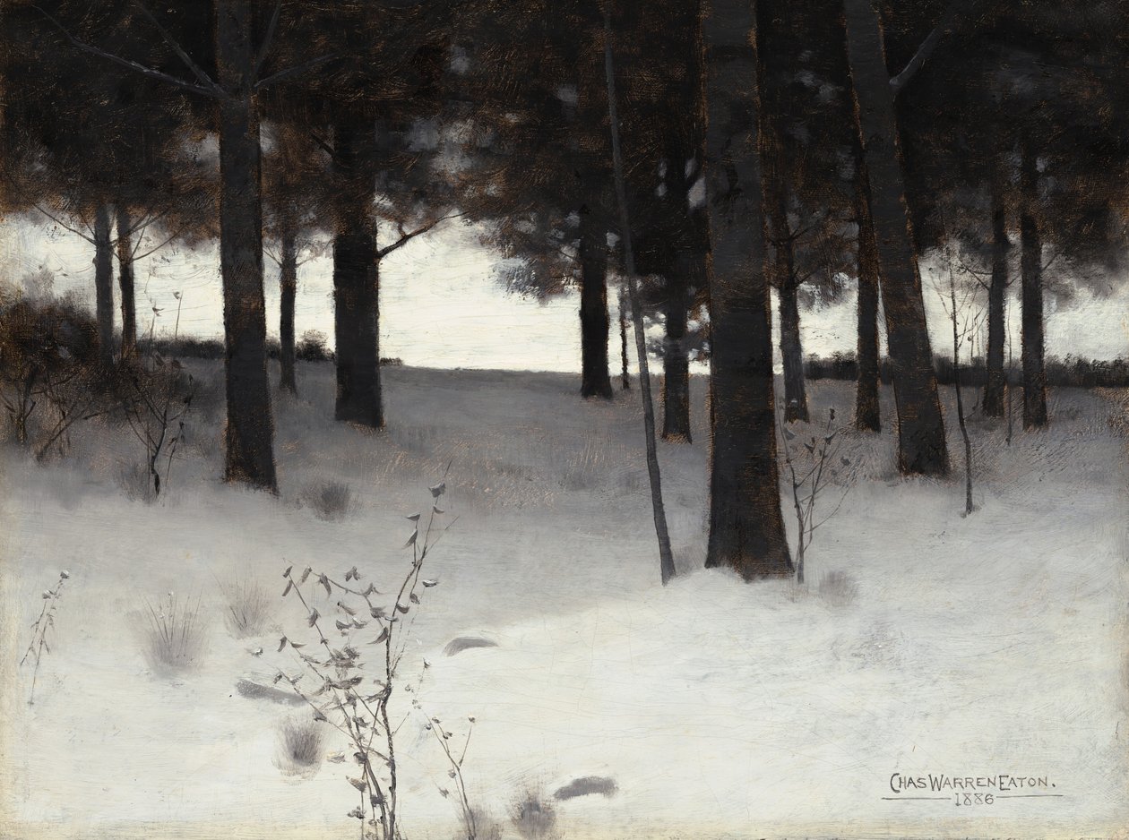 Bosques en invierno, 1886 de Charles Warren Eaton