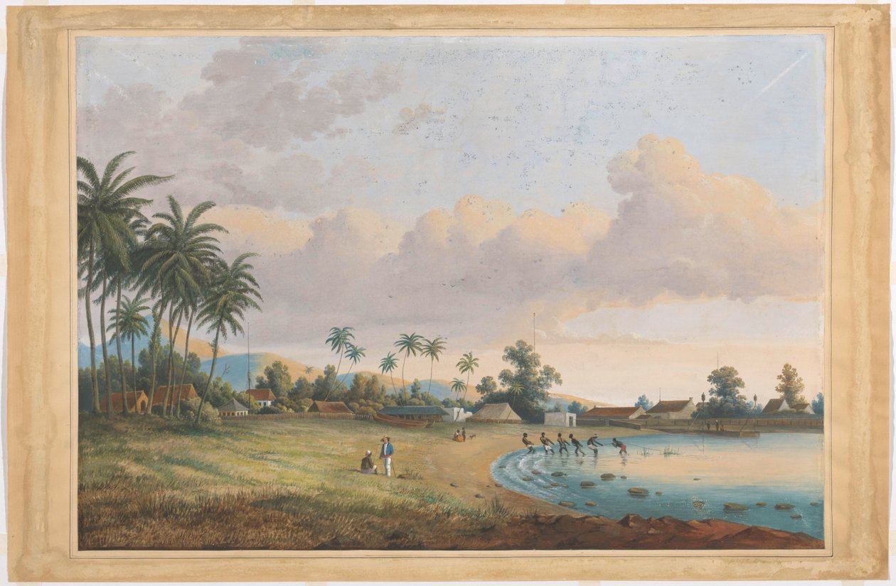 Vista de Carnation Java de Charles William Meredith van de Velde